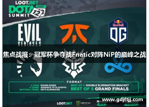 焦点战报：冠军杯争夺战Fnatic对阵NiP的巅峰之战